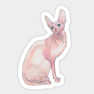 An Angry Sphynx Sticker